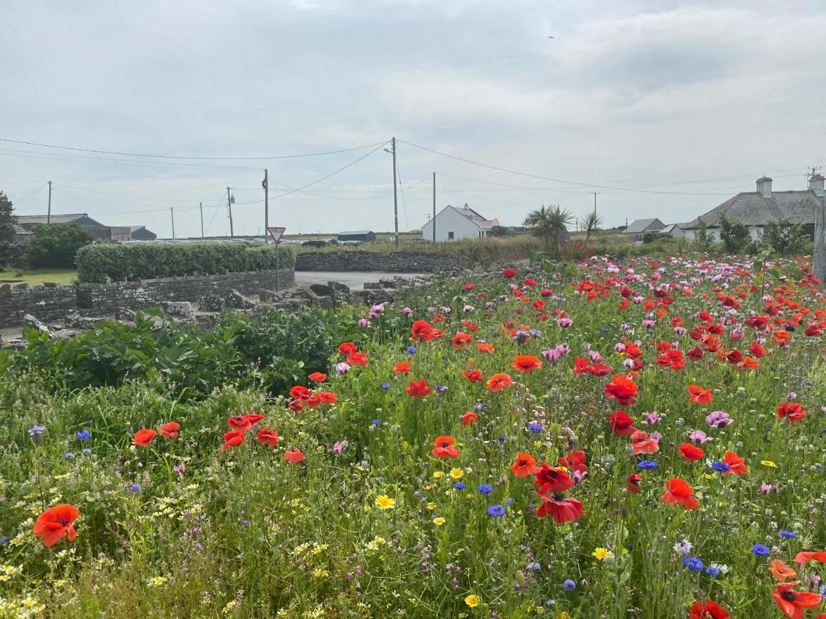 Quilty Clonmore Lodge B&B מראה חיצוני תמונה
