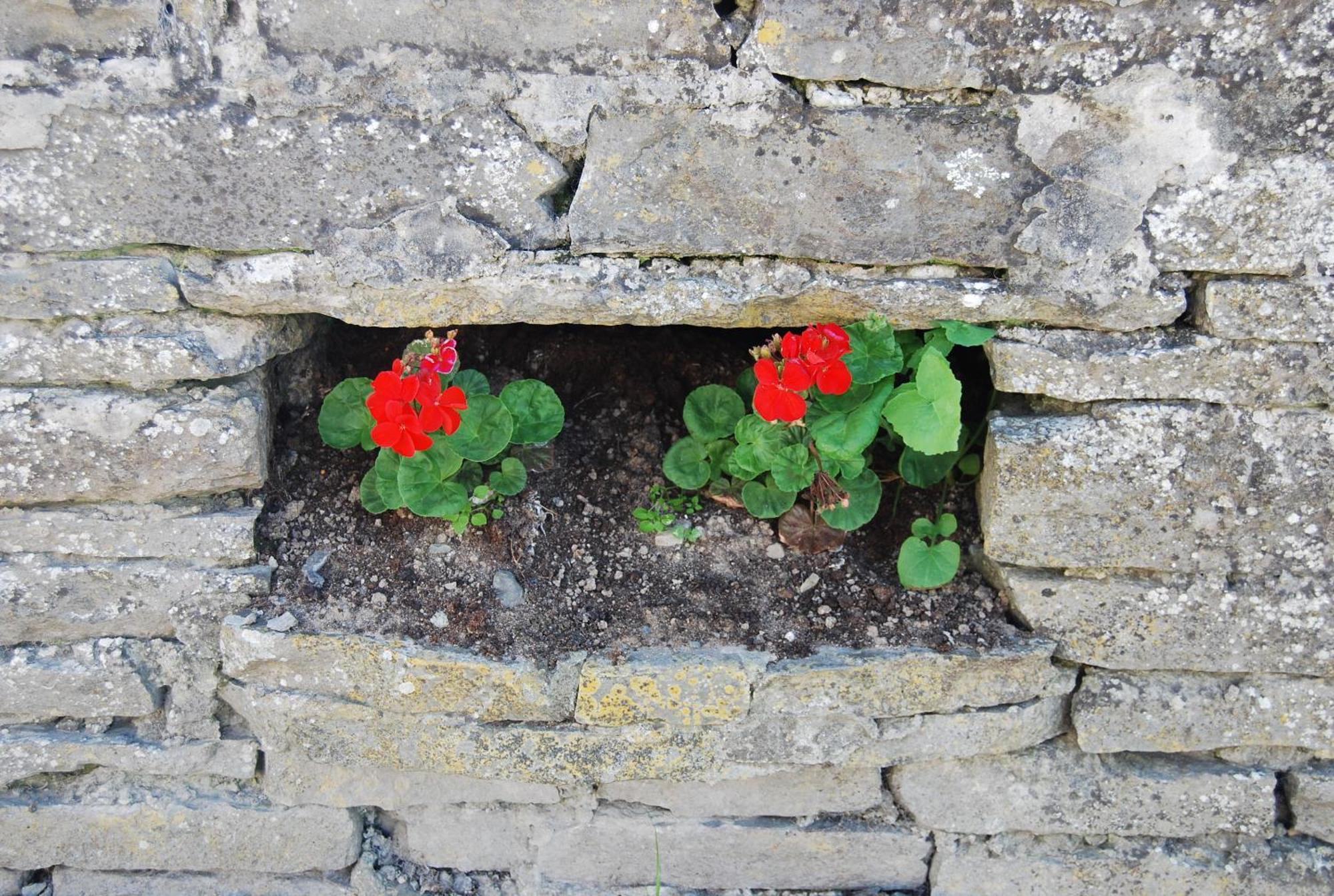 Quilty Clonmore Lodge B&B מראה חיצוני תמונה