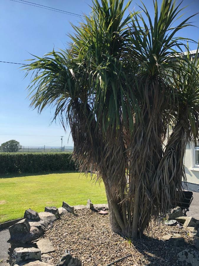 Quilty Clonmore Lodge B&B מראה חיצוני תמונה
