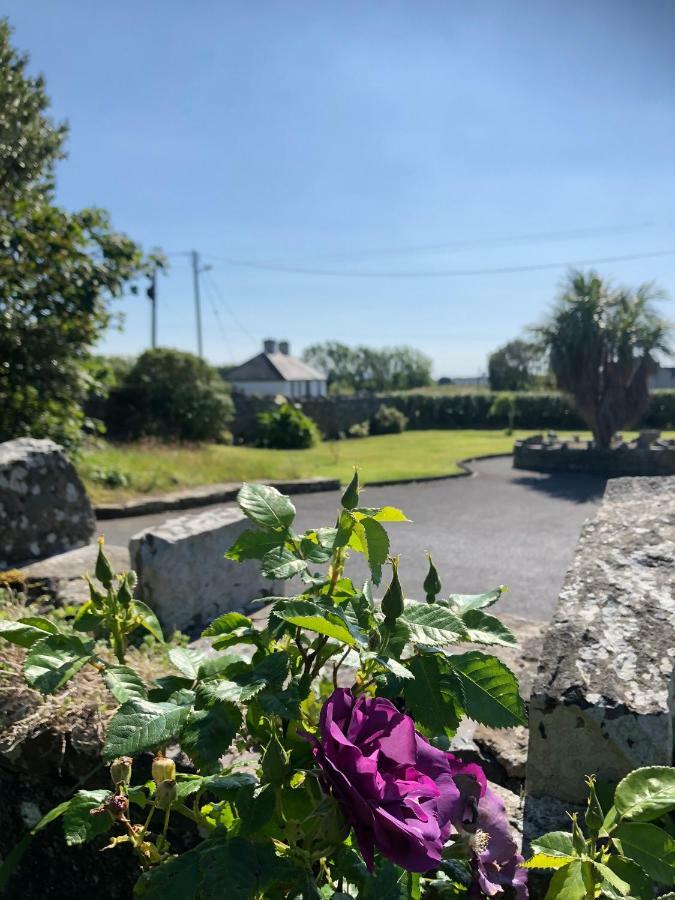 Quilty Clonmore Lodge B&B מראה חיצוני תמונה